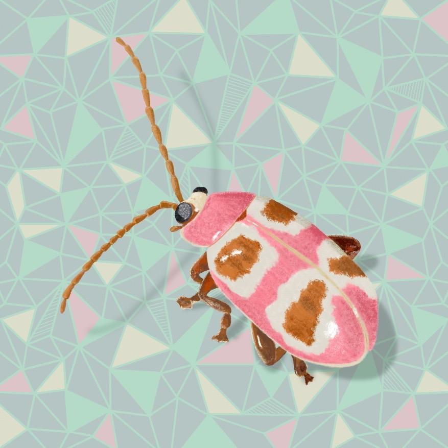 Pink Bug - image 2 - student project