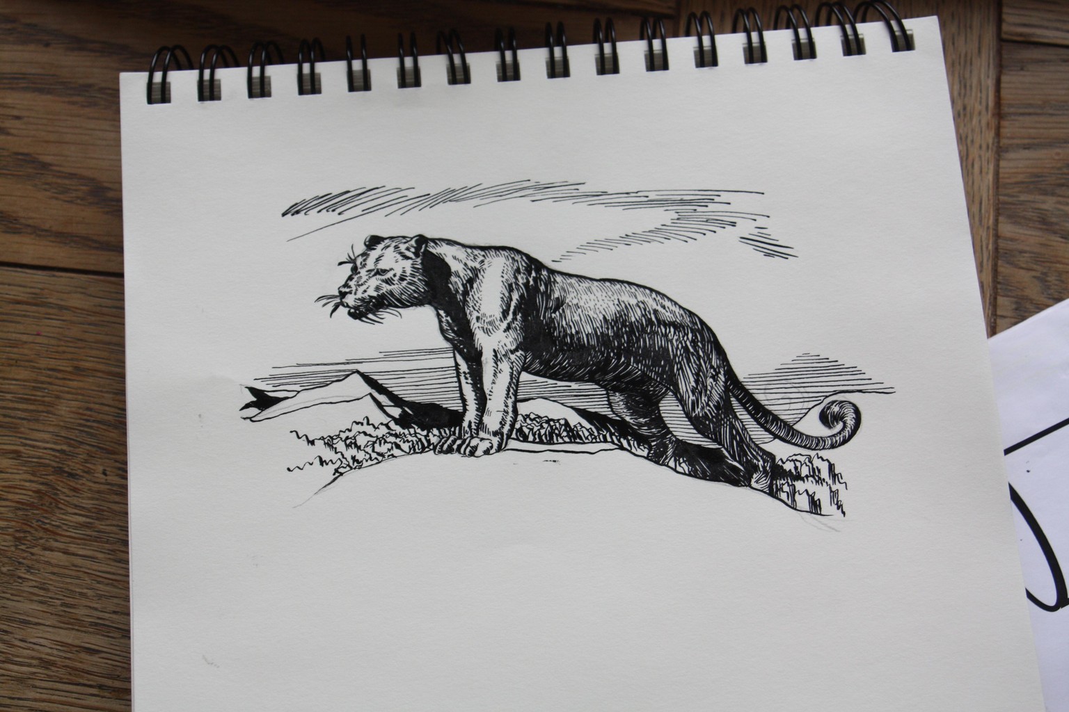 Ink Drawing Boot Camp - image 6 - student project