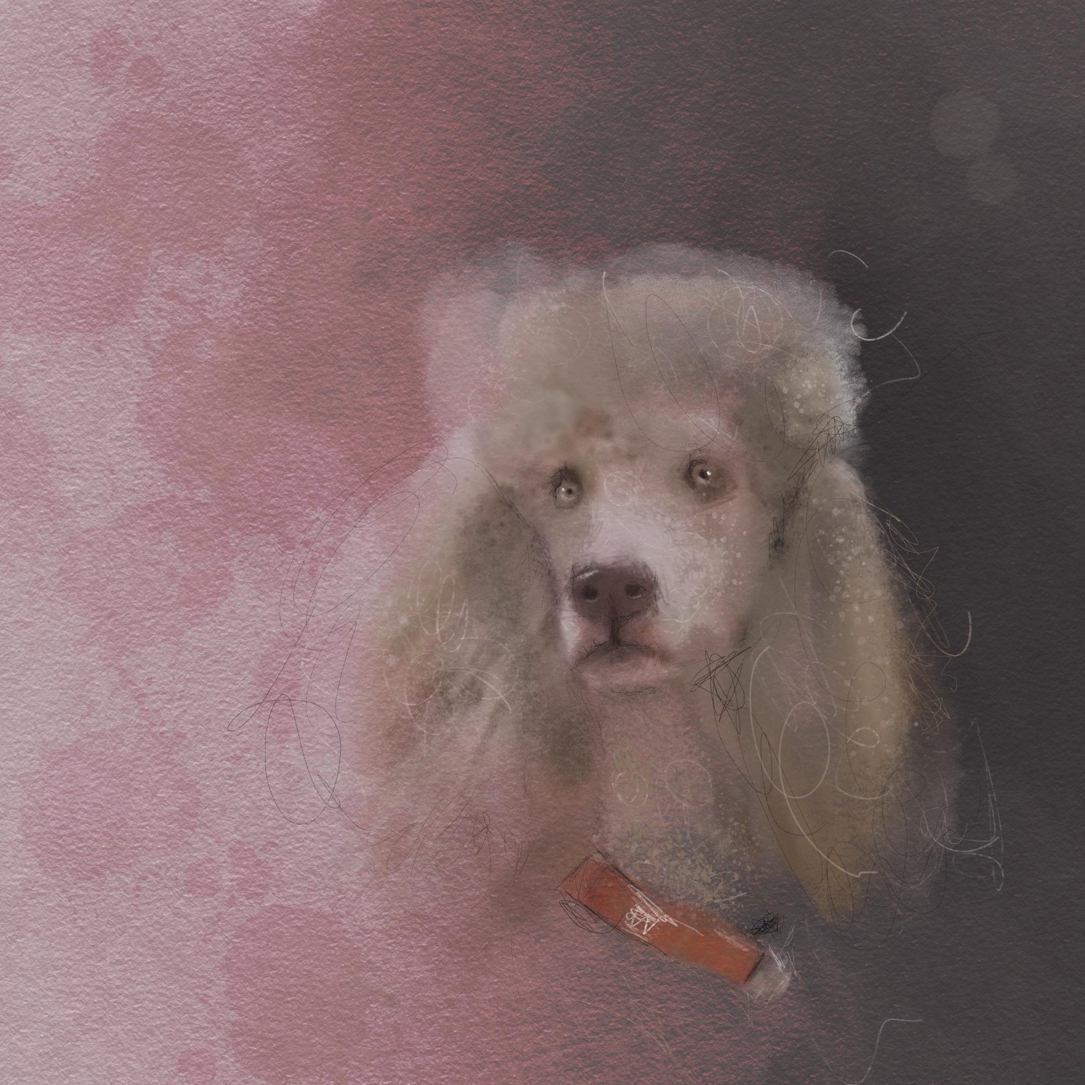 Poodle - image 1 - student project