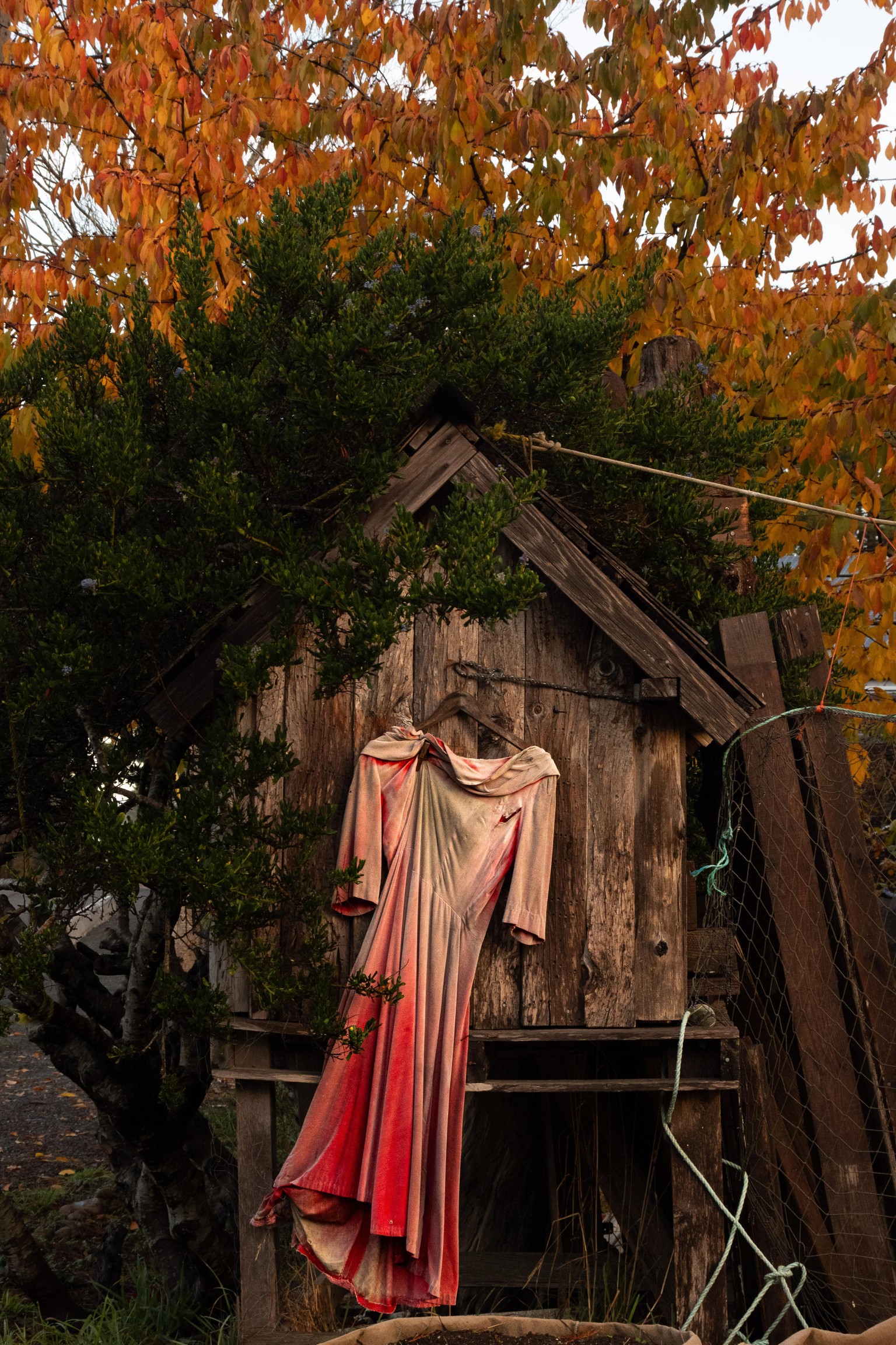 Rural Northwest Coastline - N. America for anyone unfamiliar - image 2 - student project