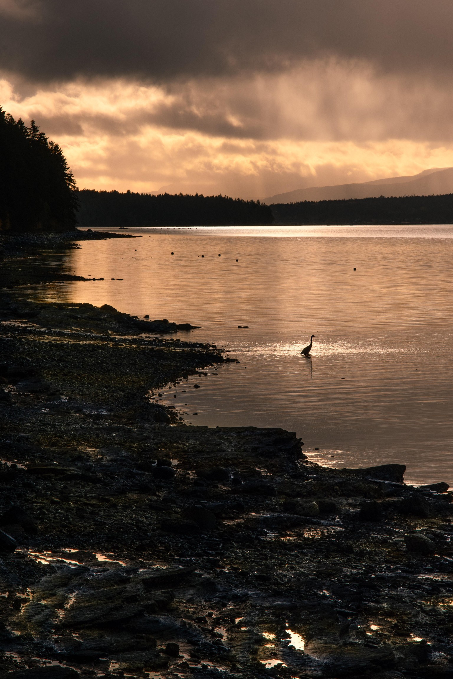 Rural Northwest Coastline - N. America for anyone unfamiliar - image 1 - student project