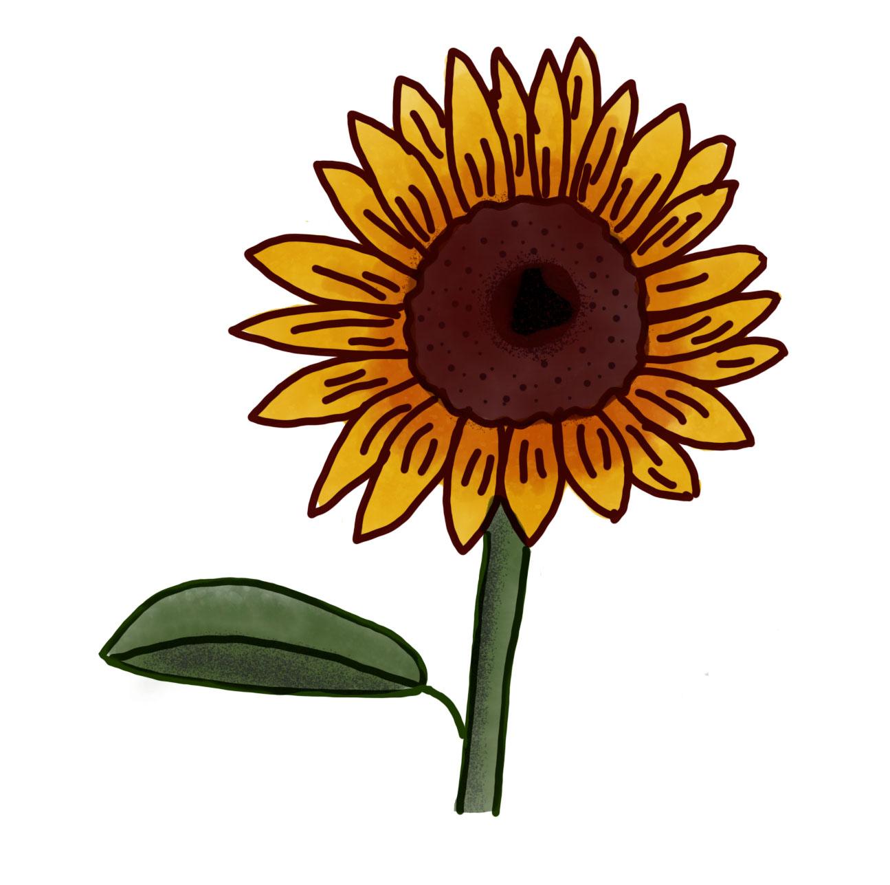 Sunflower pattern and Motif - image 2 - student project