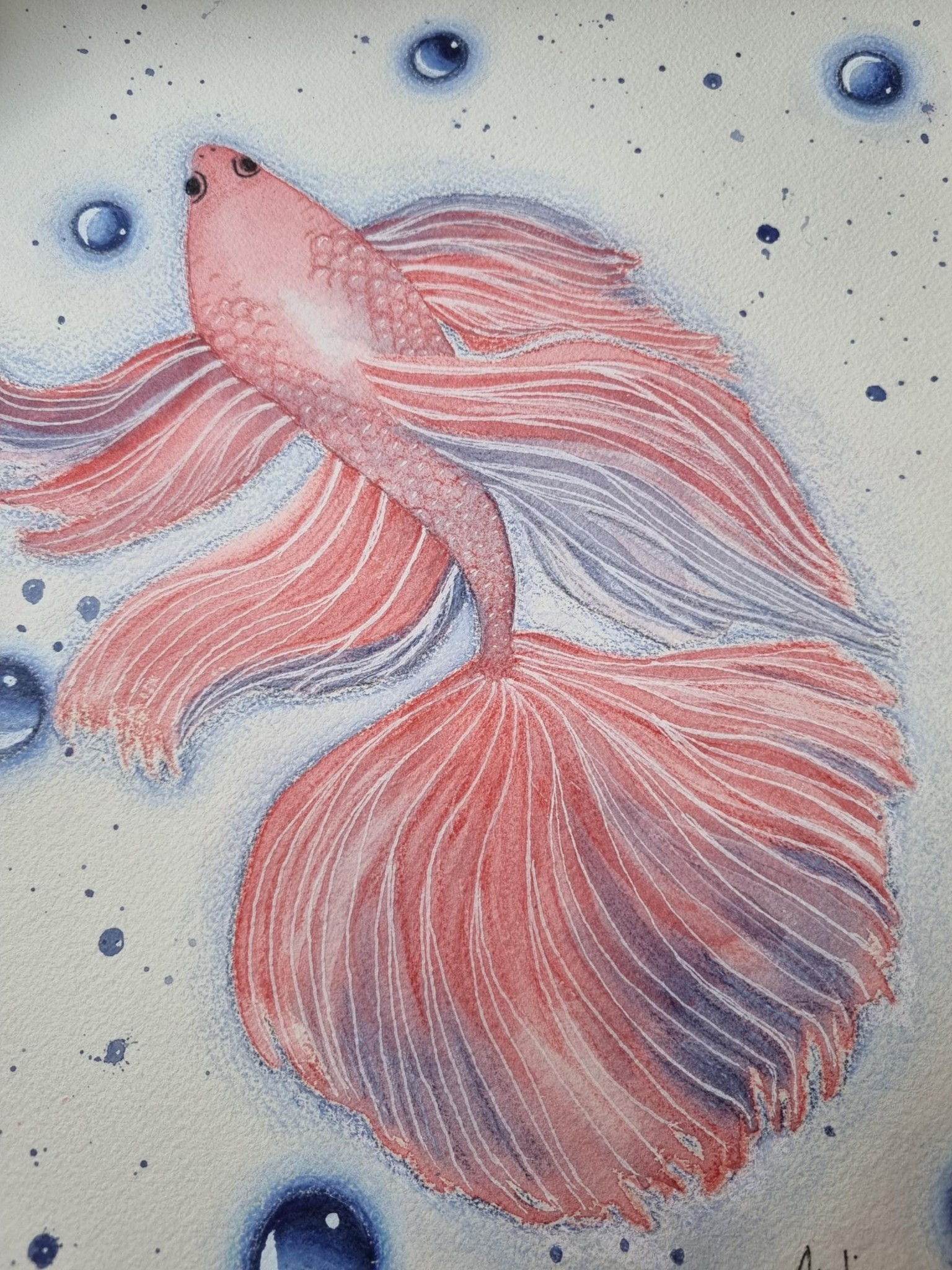 Pez betta en acuarela y lápices de colores - image 2 - student project