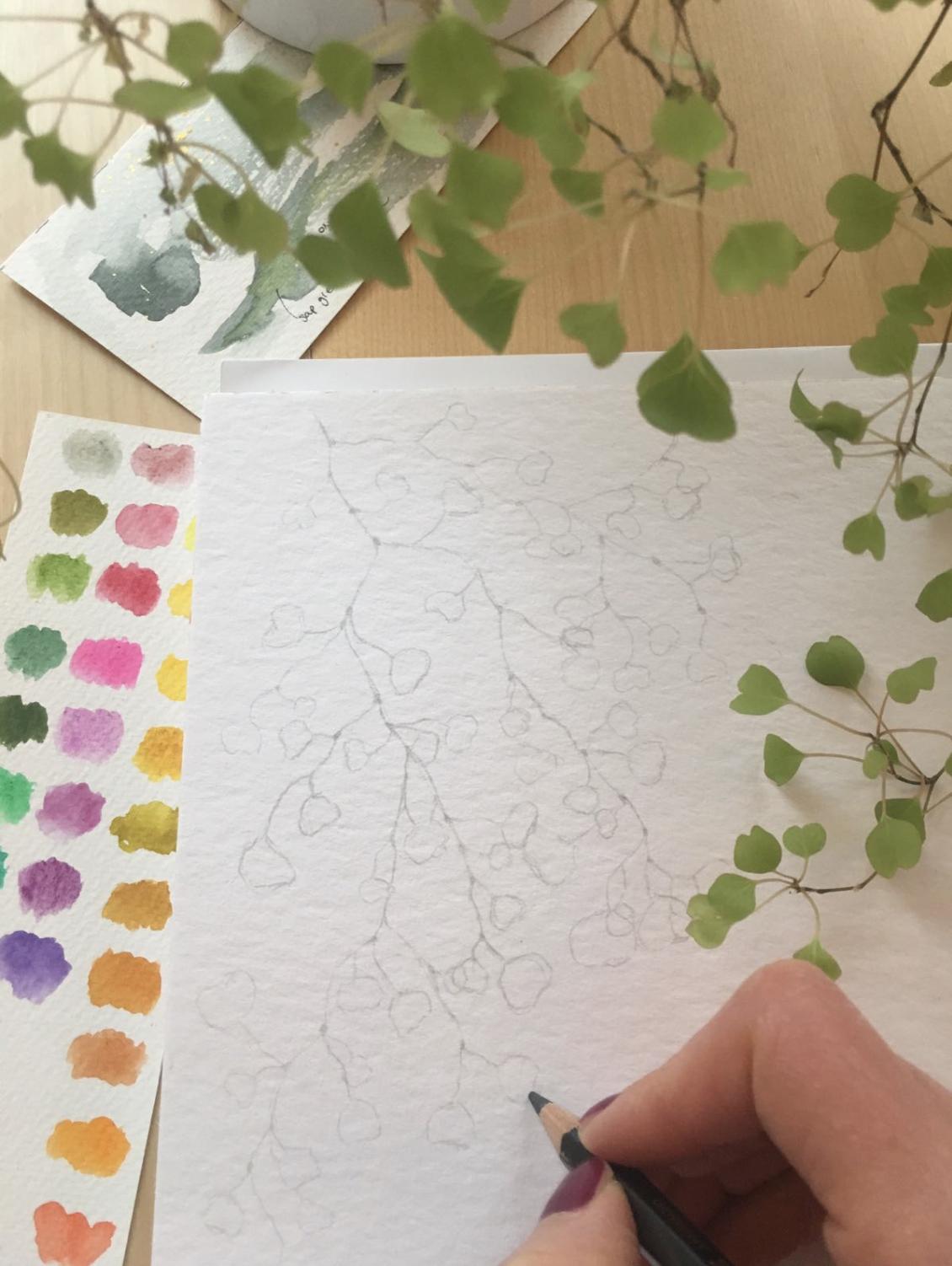 Muhlenbeckia watercolor painting - image 1 - student project