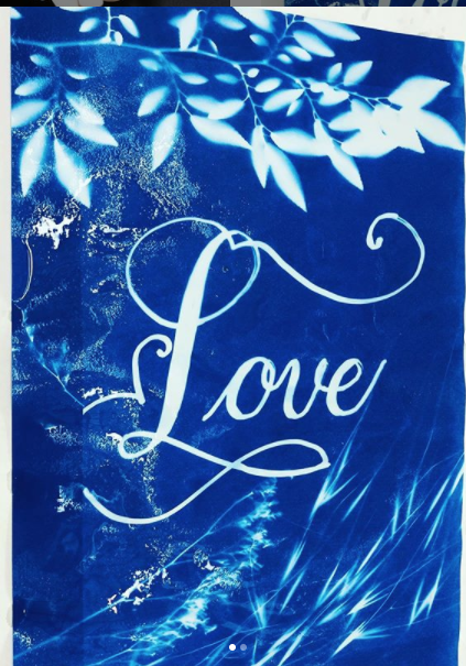 Botanical Cyanotypes - image 1 - student project