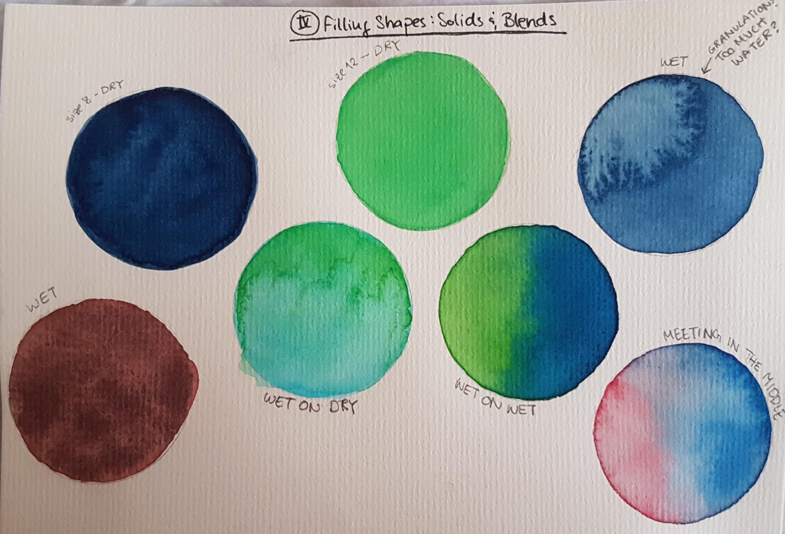 Watercolor Boot Camp Drills - image 5 - student project