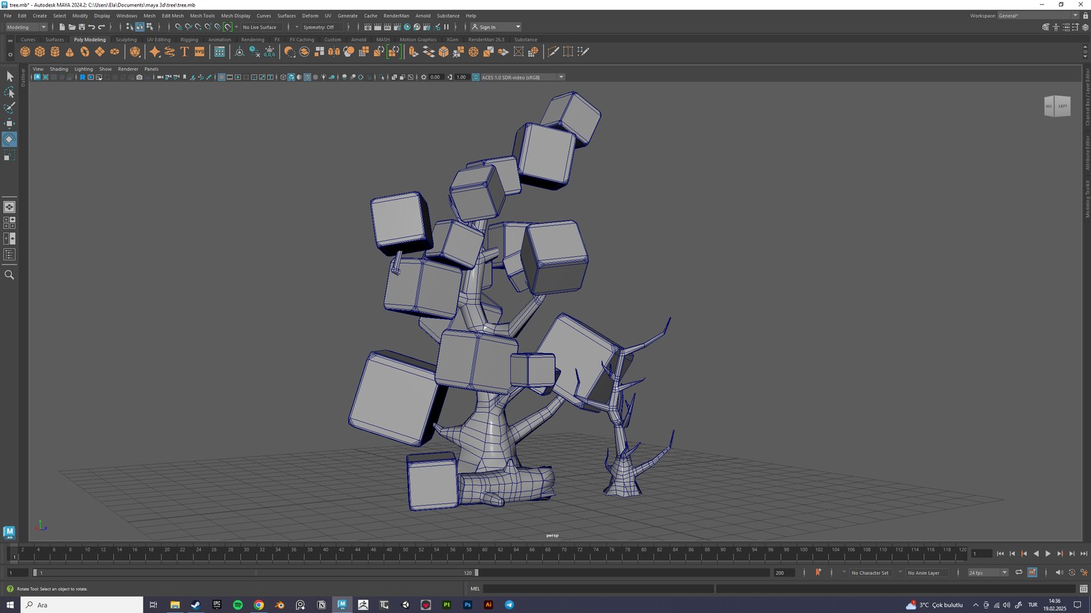 Tree - image 3 - student project