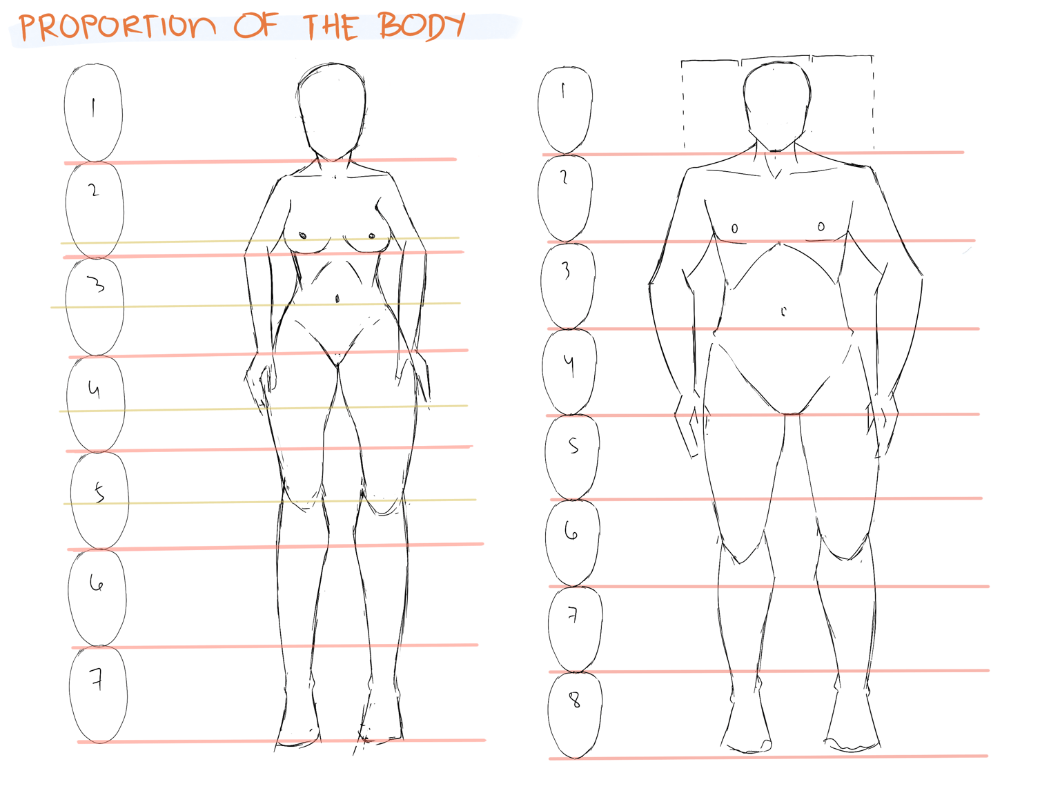 ASSIGNMENTS AND FINAL PROJECT - image 1 - student project