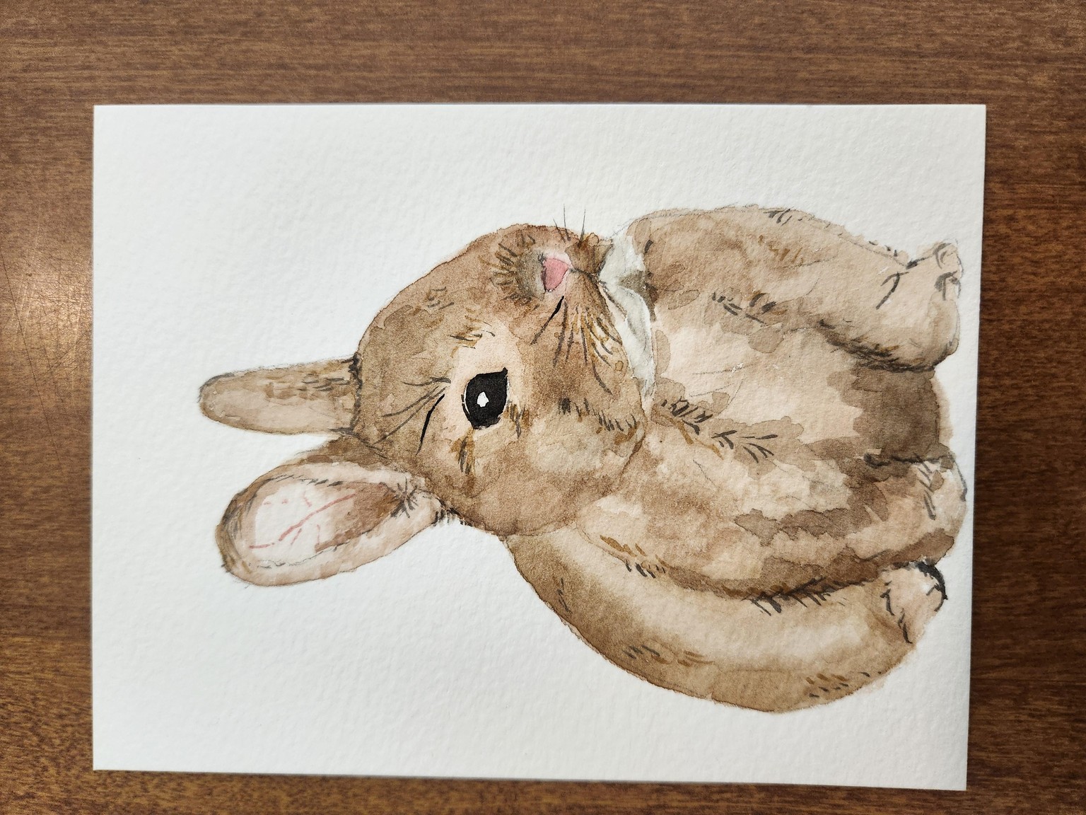 Bunnies 1st and 2nd attempt - image 1 - student project