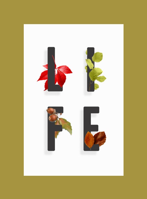 Autumn leaves + text - image 1 - student project