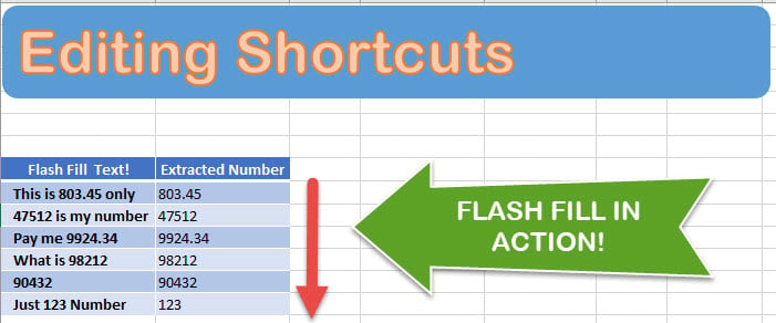 Cool Application with Flash Fill! - image 1 - student project
