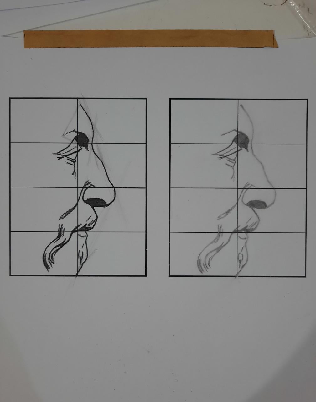 Saja S. - image 12 - student project