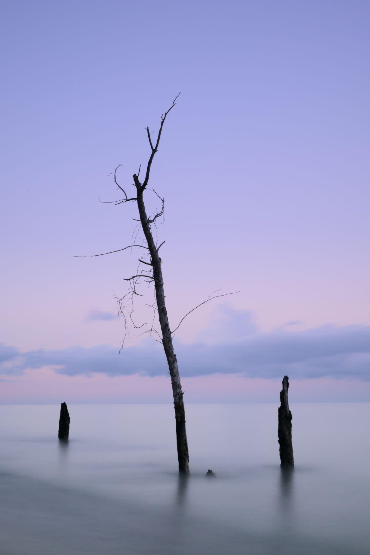 First Edit - image 1 - student project