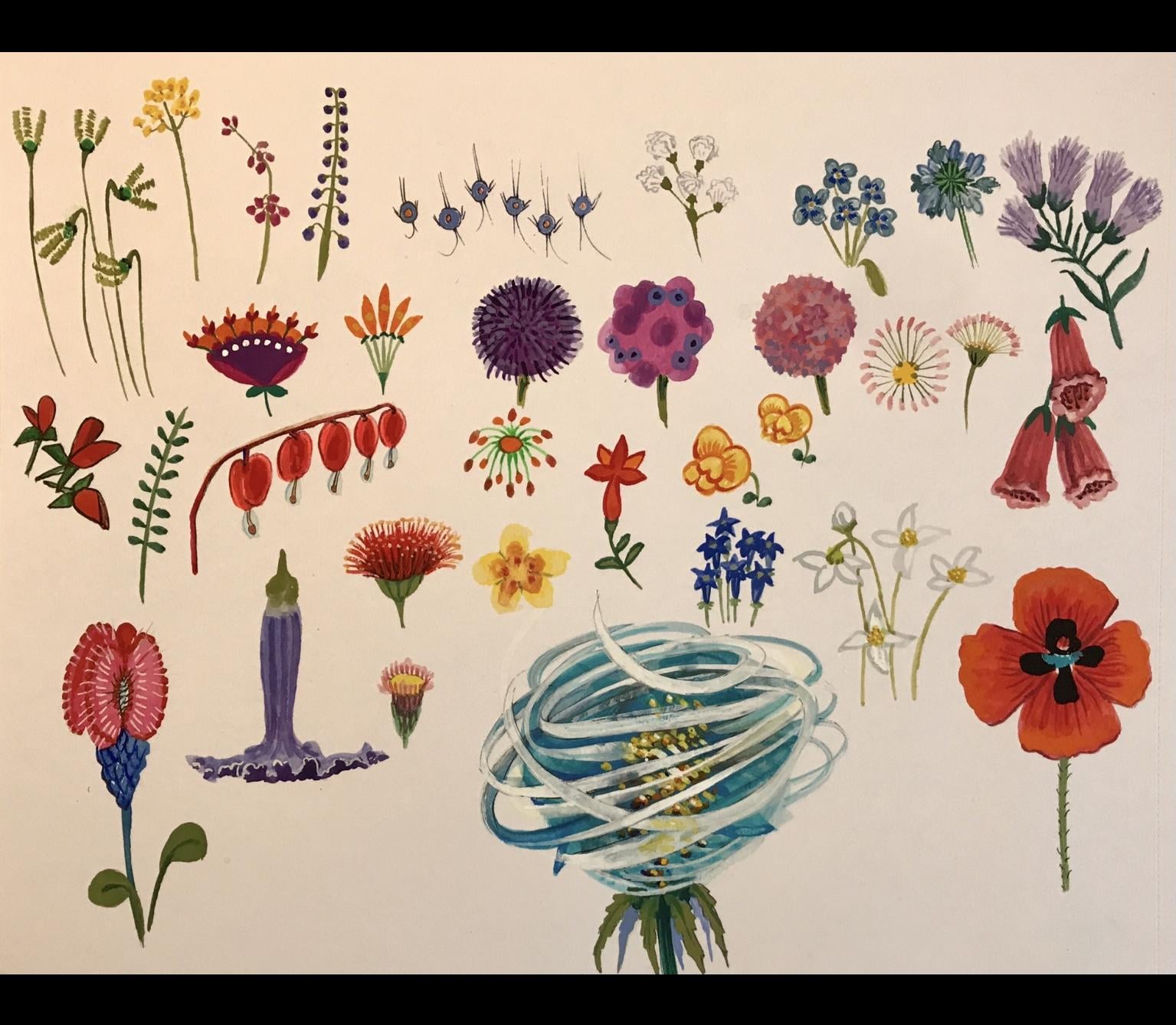 Finding Patterns in Flowers - image 7 - student project