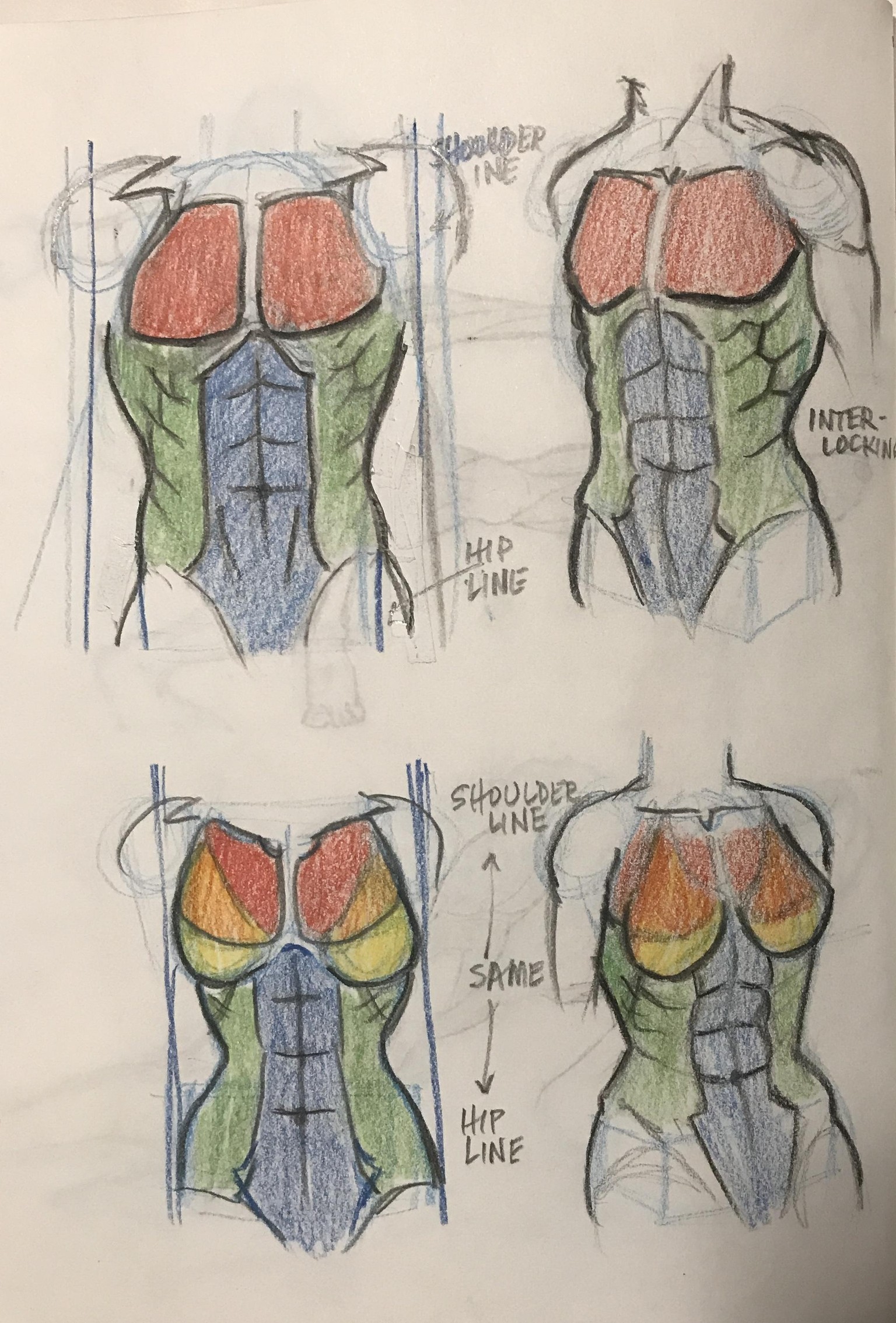 Anatomy with JAZZA - image 6 - student project