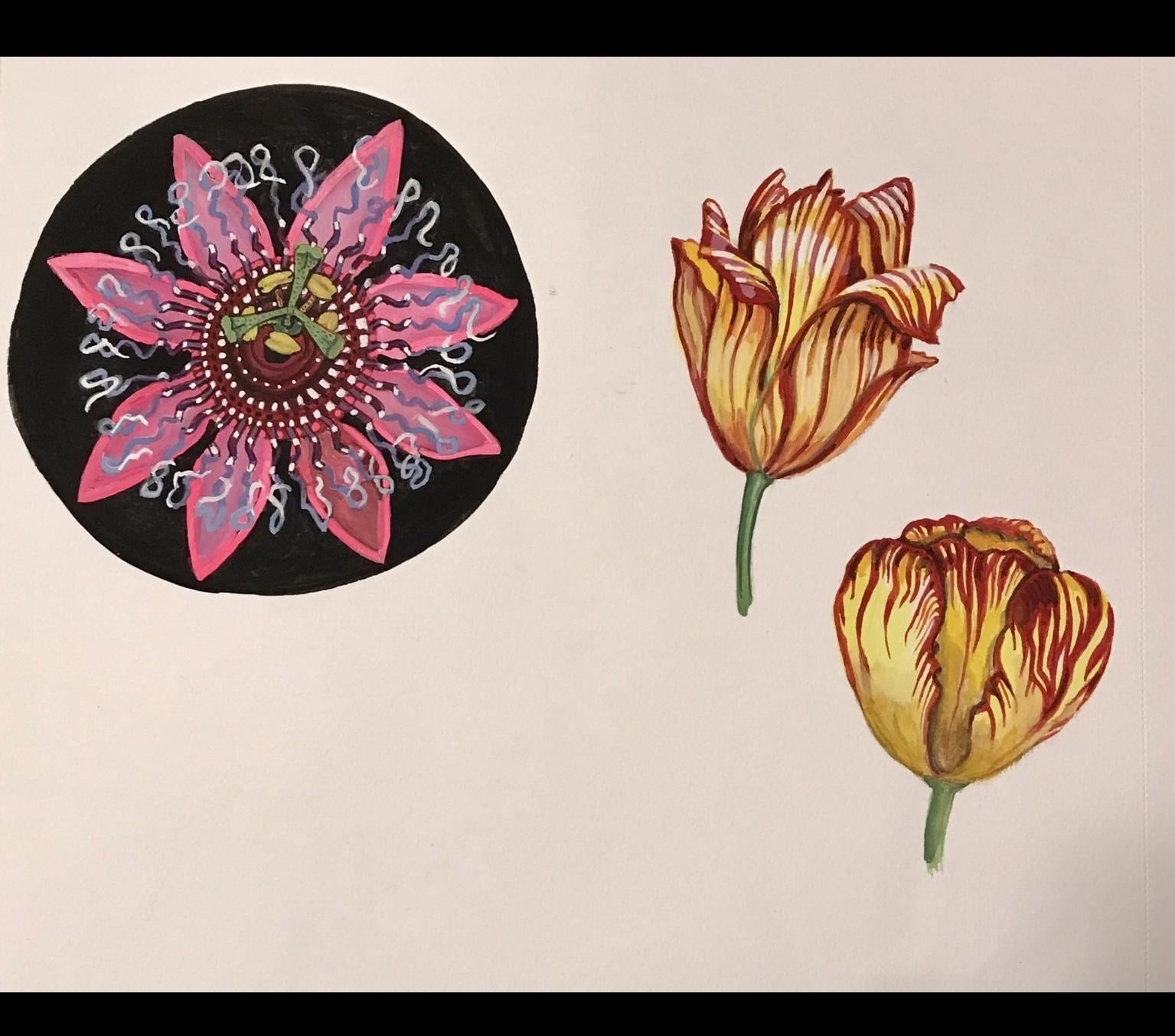 Finding Patterns in Flowers - image 9 - student project