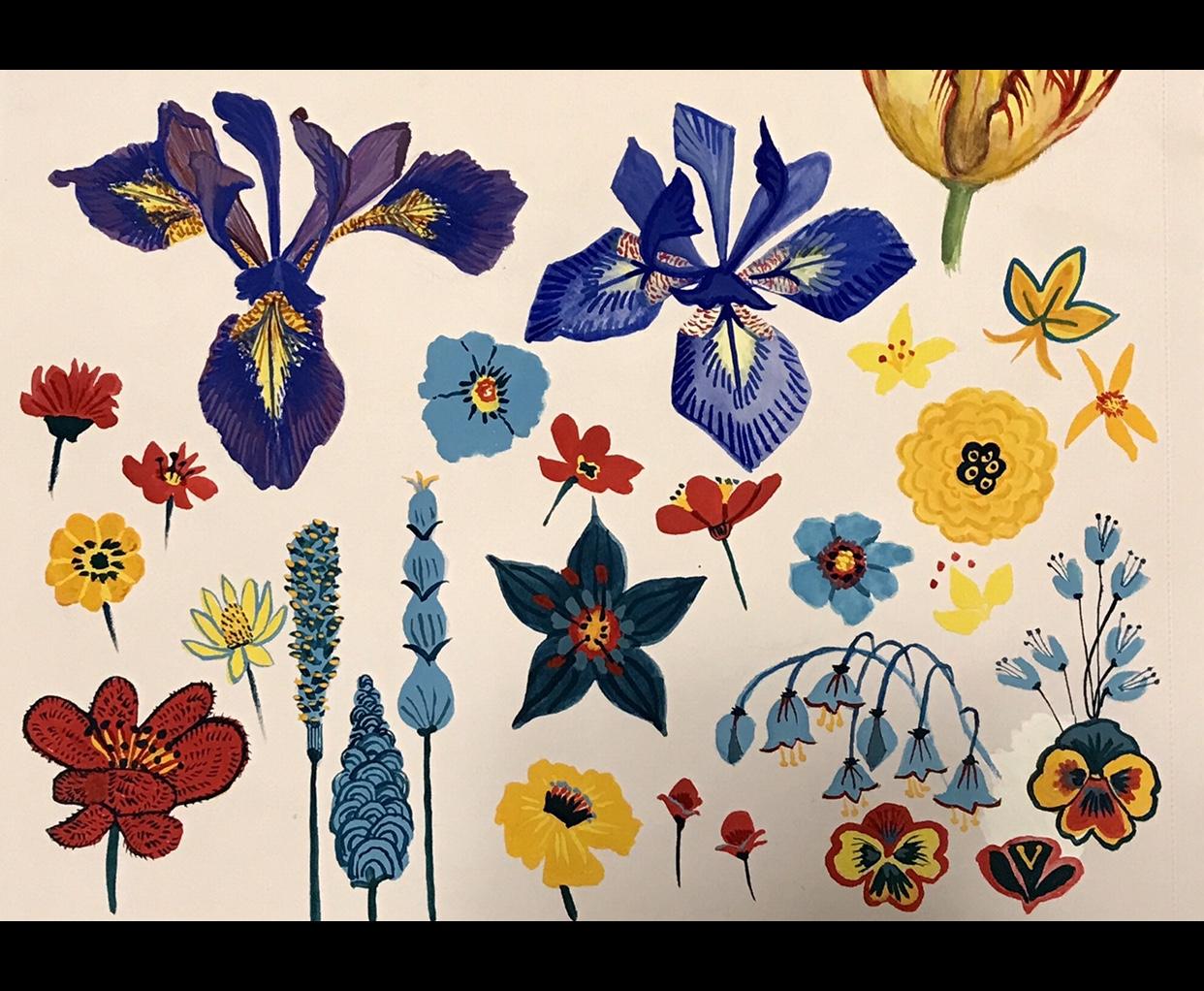 Finding Patterns in Flowers - image 12 - student project
