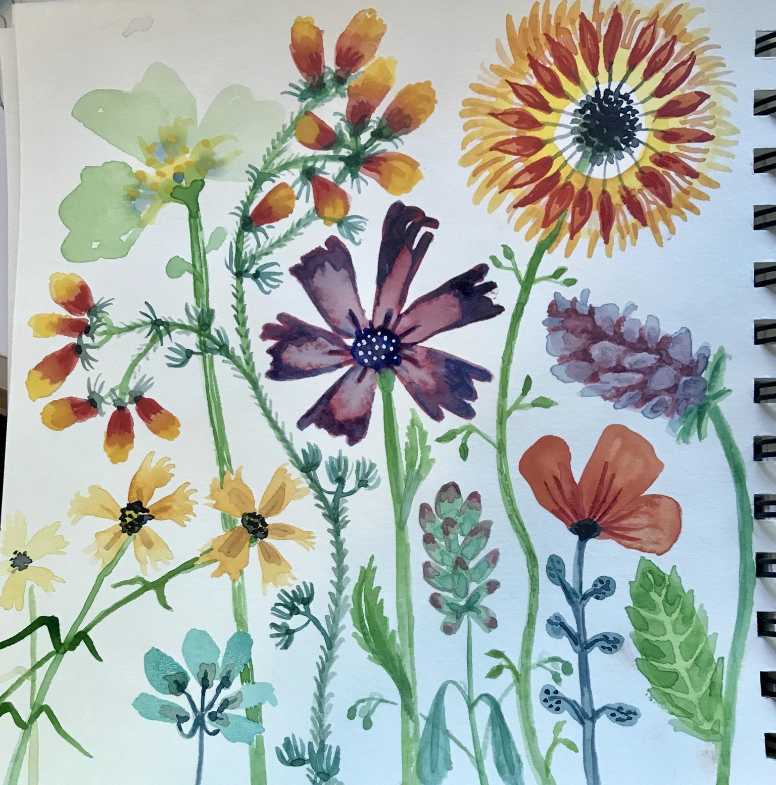 Watery Flowers - image 1 - student project