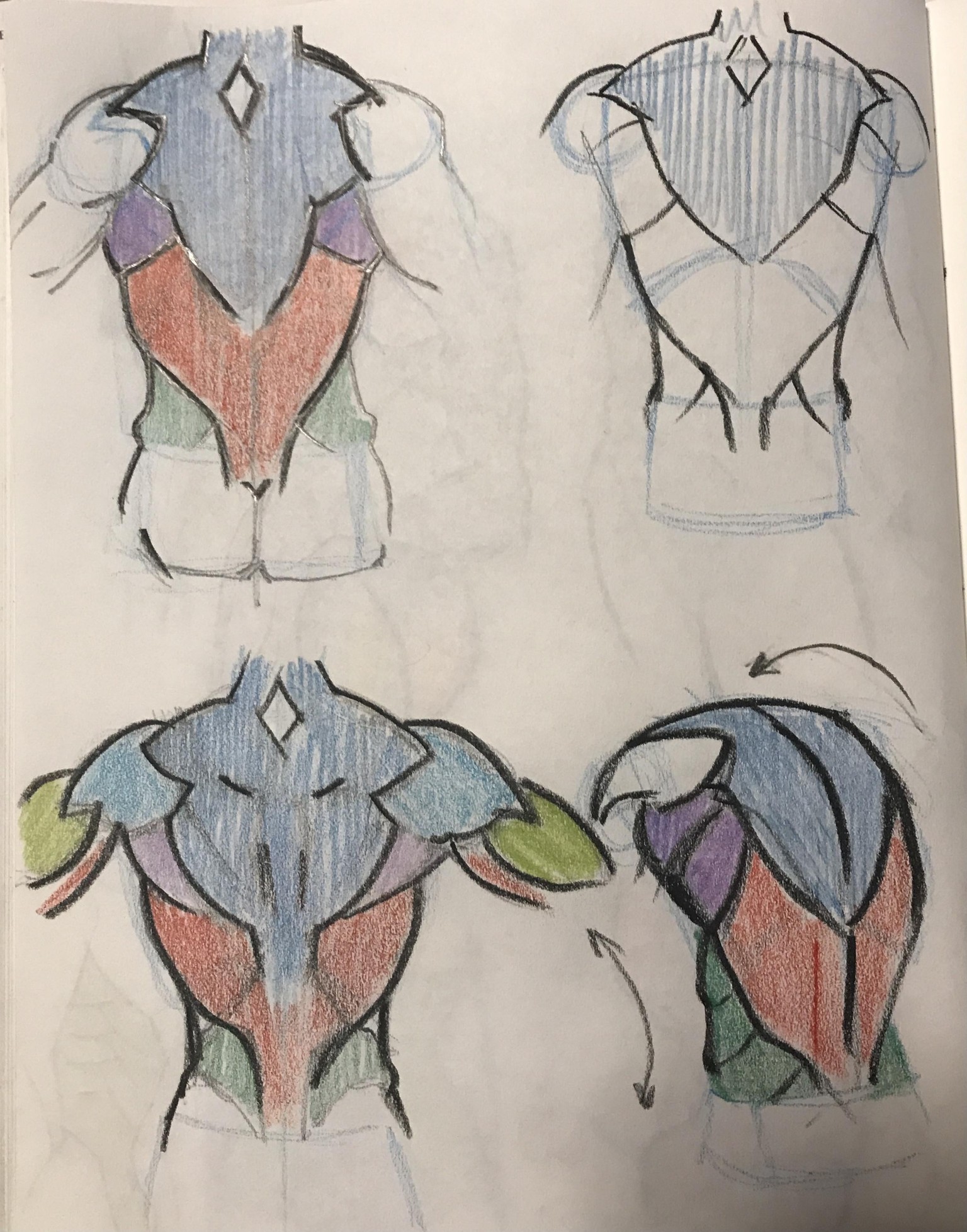 Anatomy with JAZZA - image 8 - student project