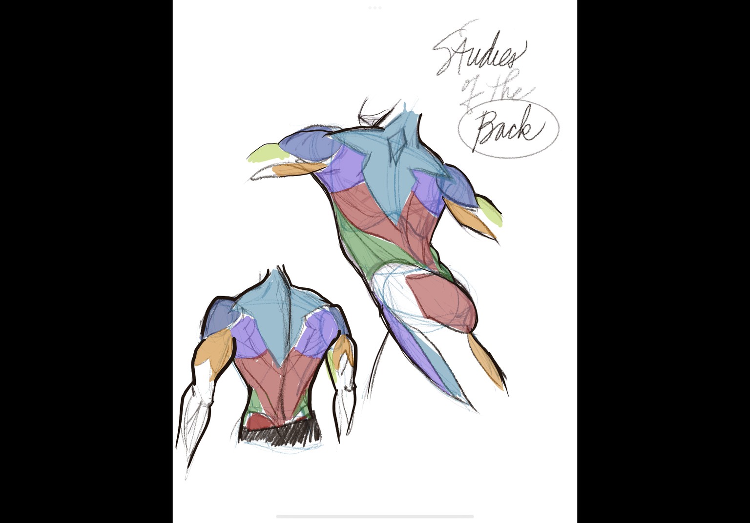 Anatomy with JAZZA - image 12 - student project