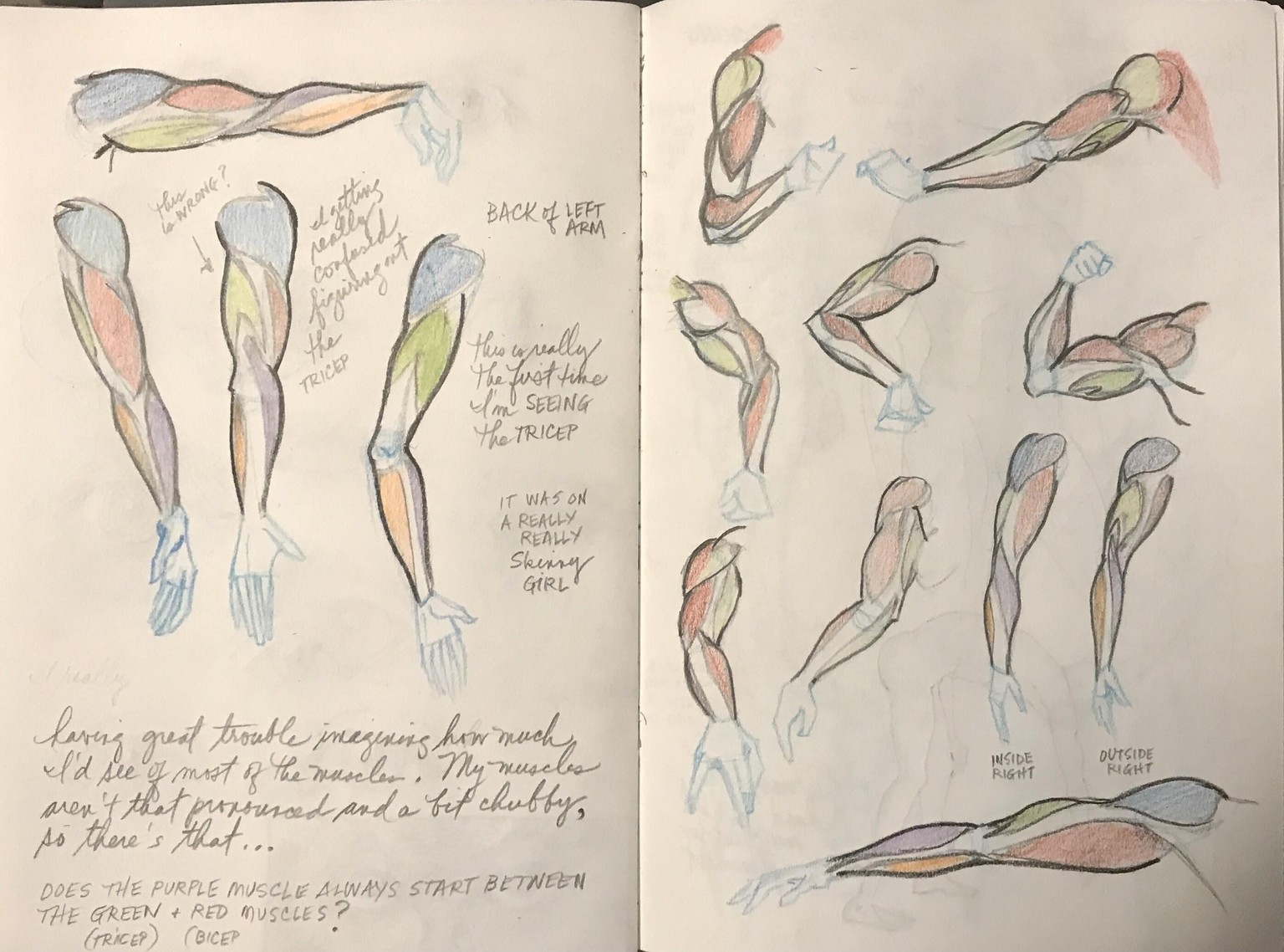 Anatomy with JAZZA - image 3 - student project