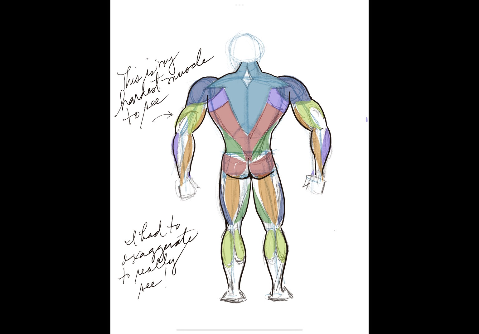 Anatomy with JAZZA - image 11 - student project