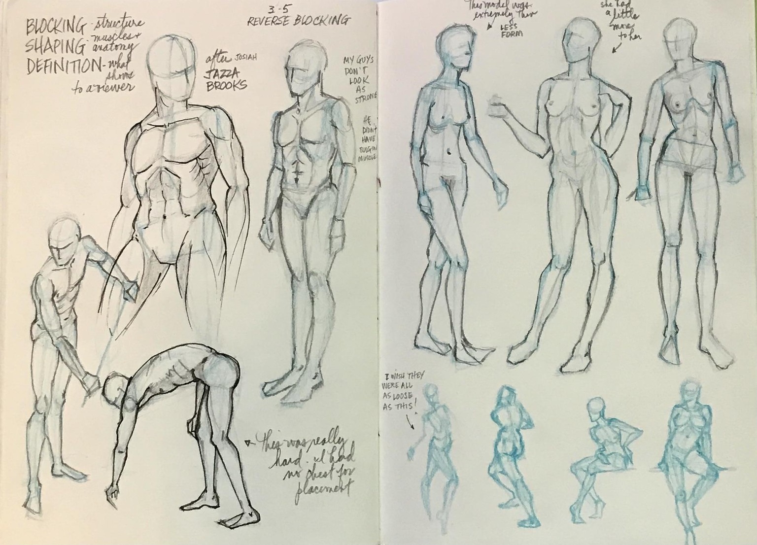 Anatomy with JAZZA - image 1 - student project