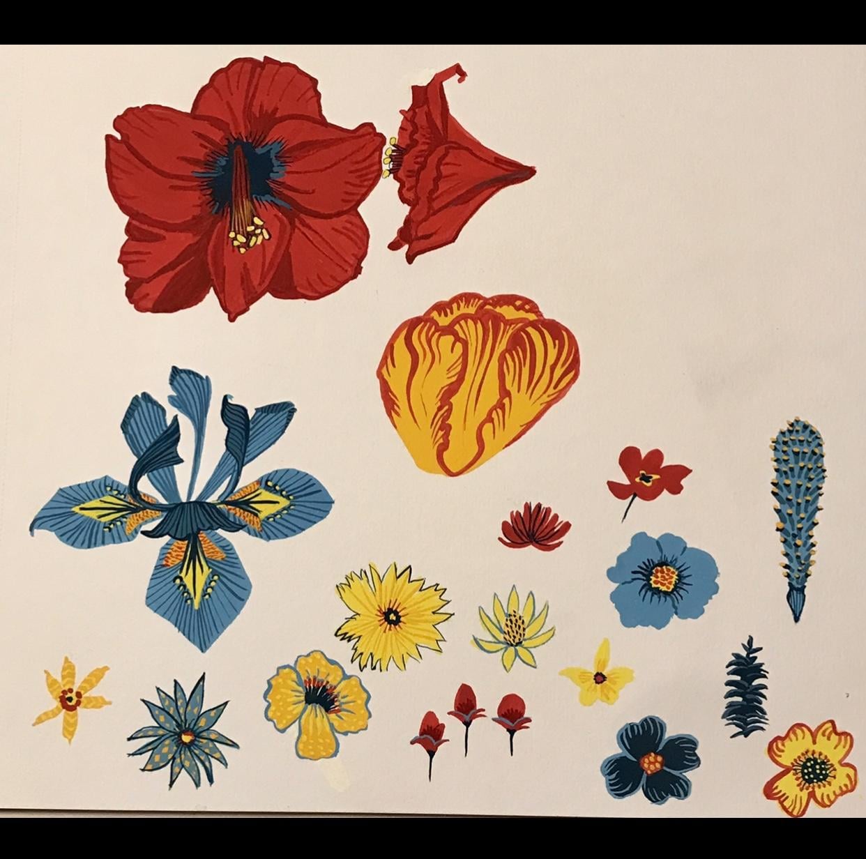 Finding Patterns in Flowers - image 15 - student project