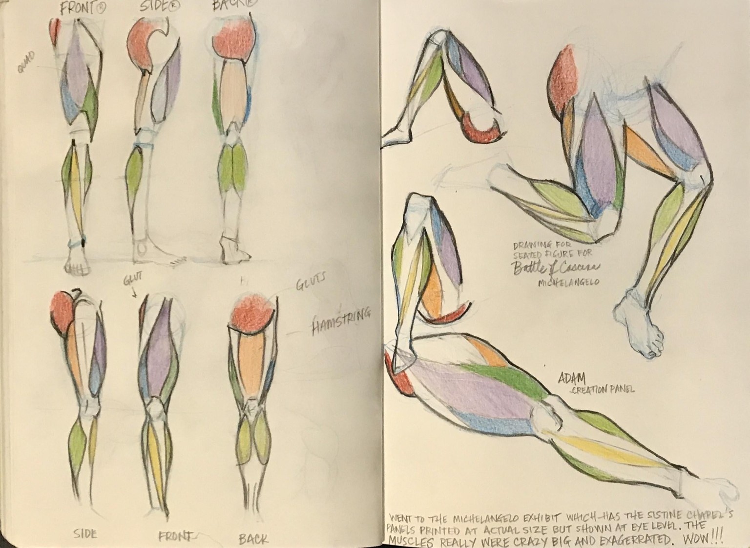Anatomy with JAZZA - image 4 - student project