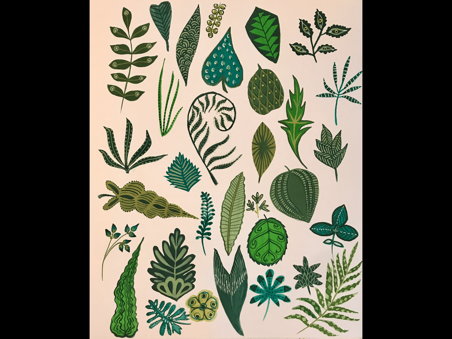 Finding Patterns in Flowers - image 6 - student project