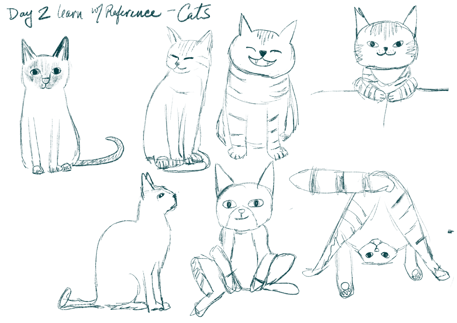 CATS! Day 4 (EDIT) - image 7 - student project