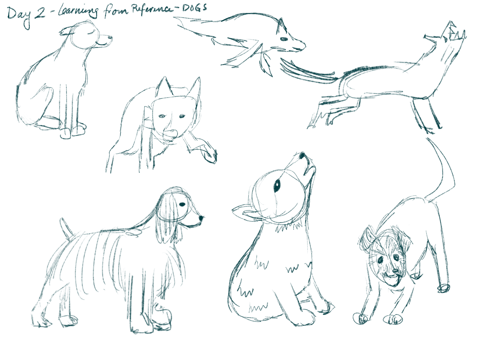 CATS! Day 4 (EDIT) - image 9 - student project