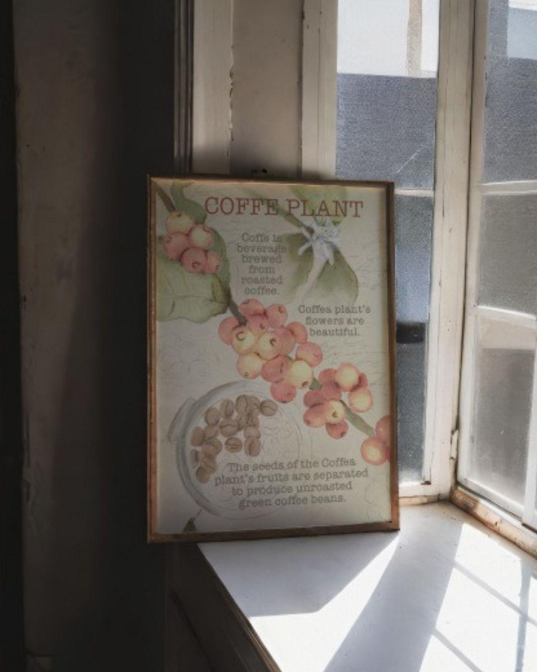Coffee tales - image 1 - student project