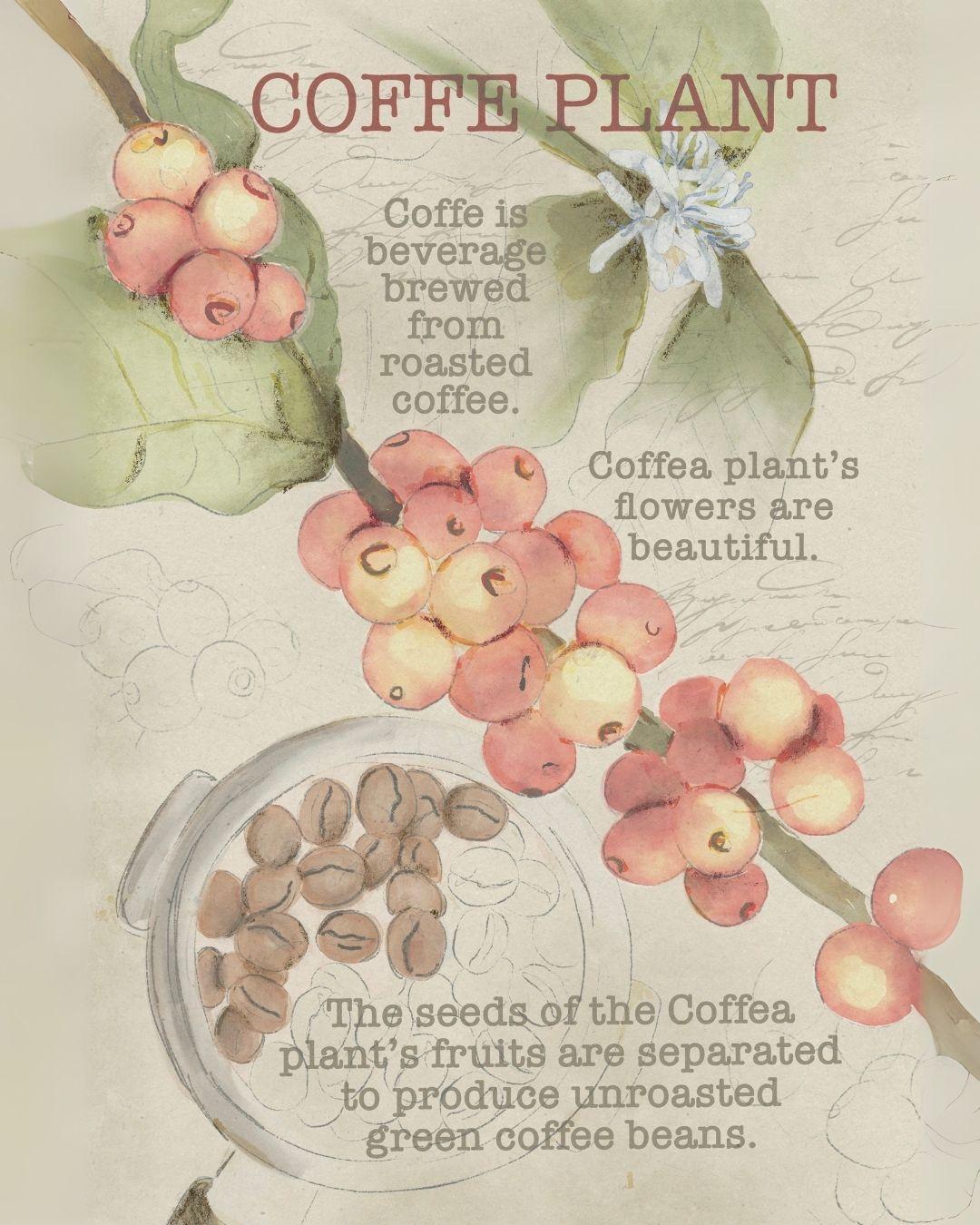 Coffee tales - image 2 - student project