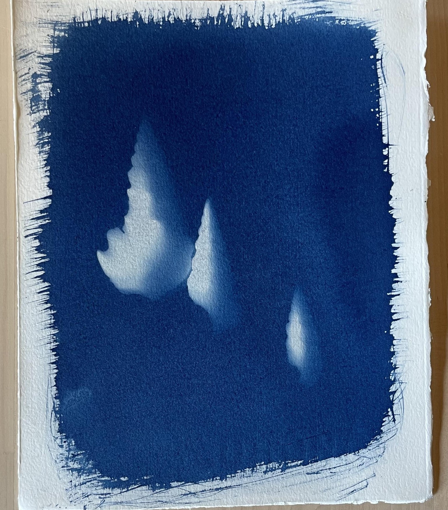 BLUE LOVE my first cyanotypes - image 2 - student project