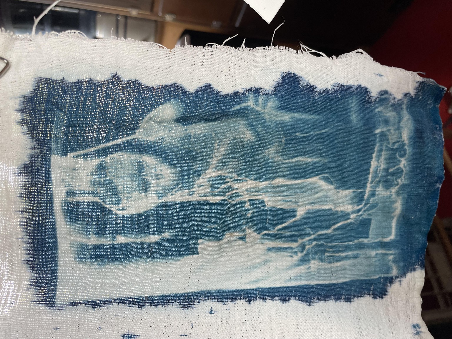 BLUE LOVE my first cyanotypes - image 10 - student project