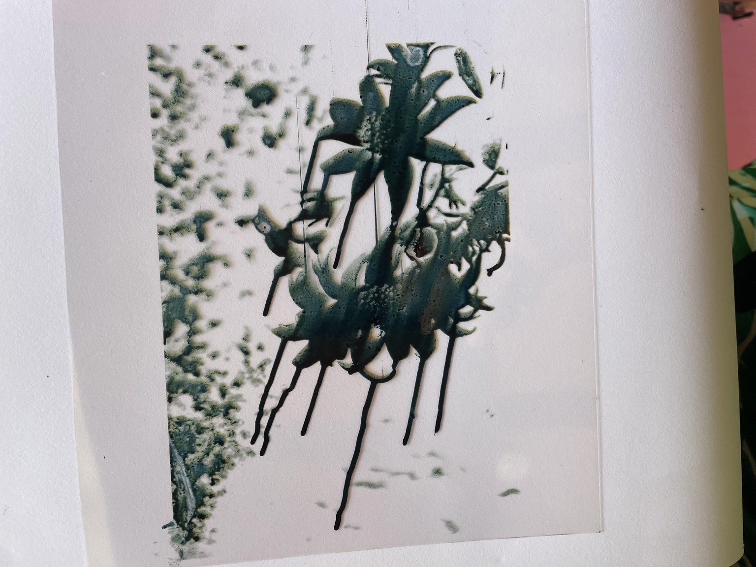 BLUE LOVE my first cyanotypes - image 6 - student project