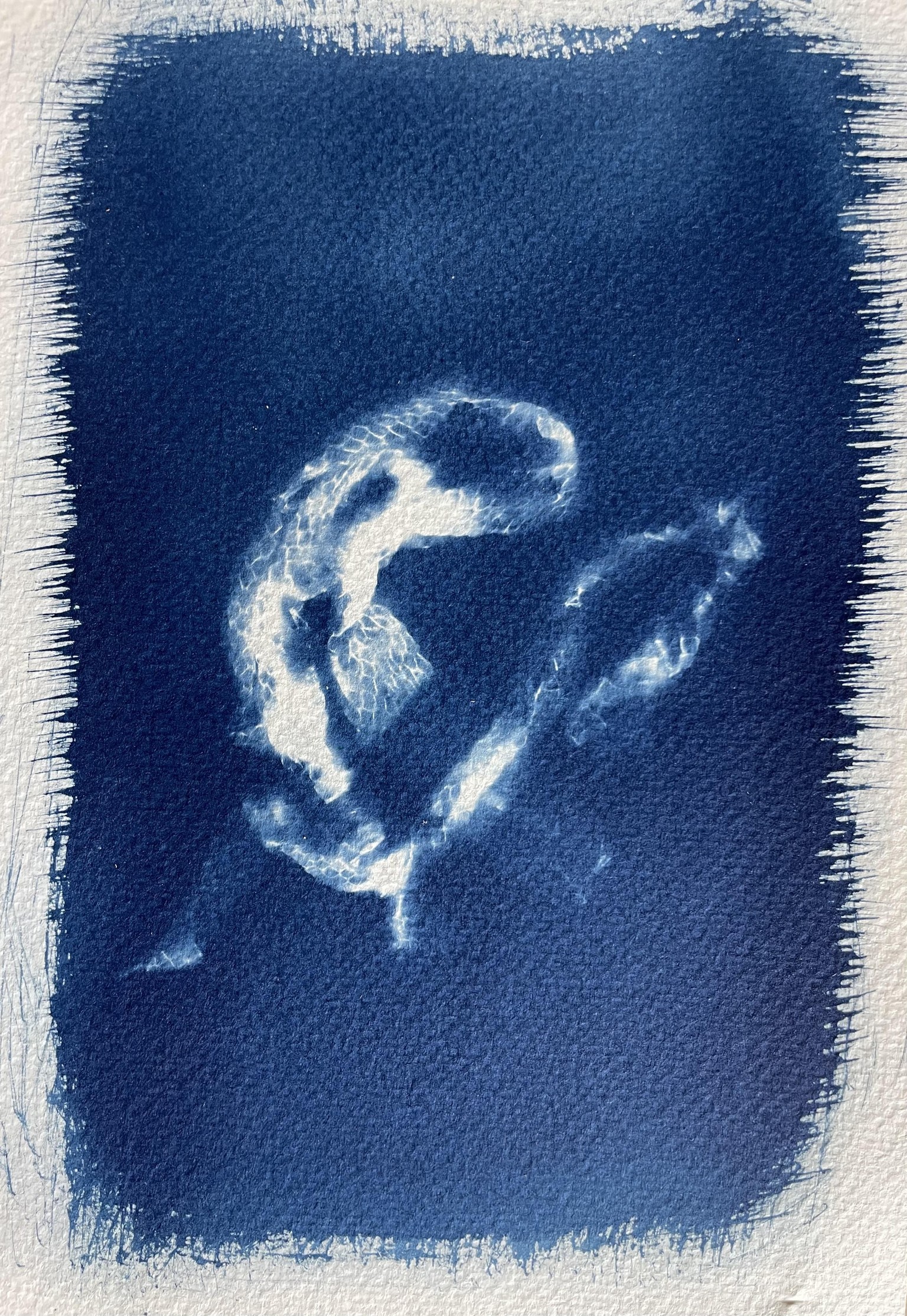 BLUE LOVE my first cyanotypes - image 4 - student project