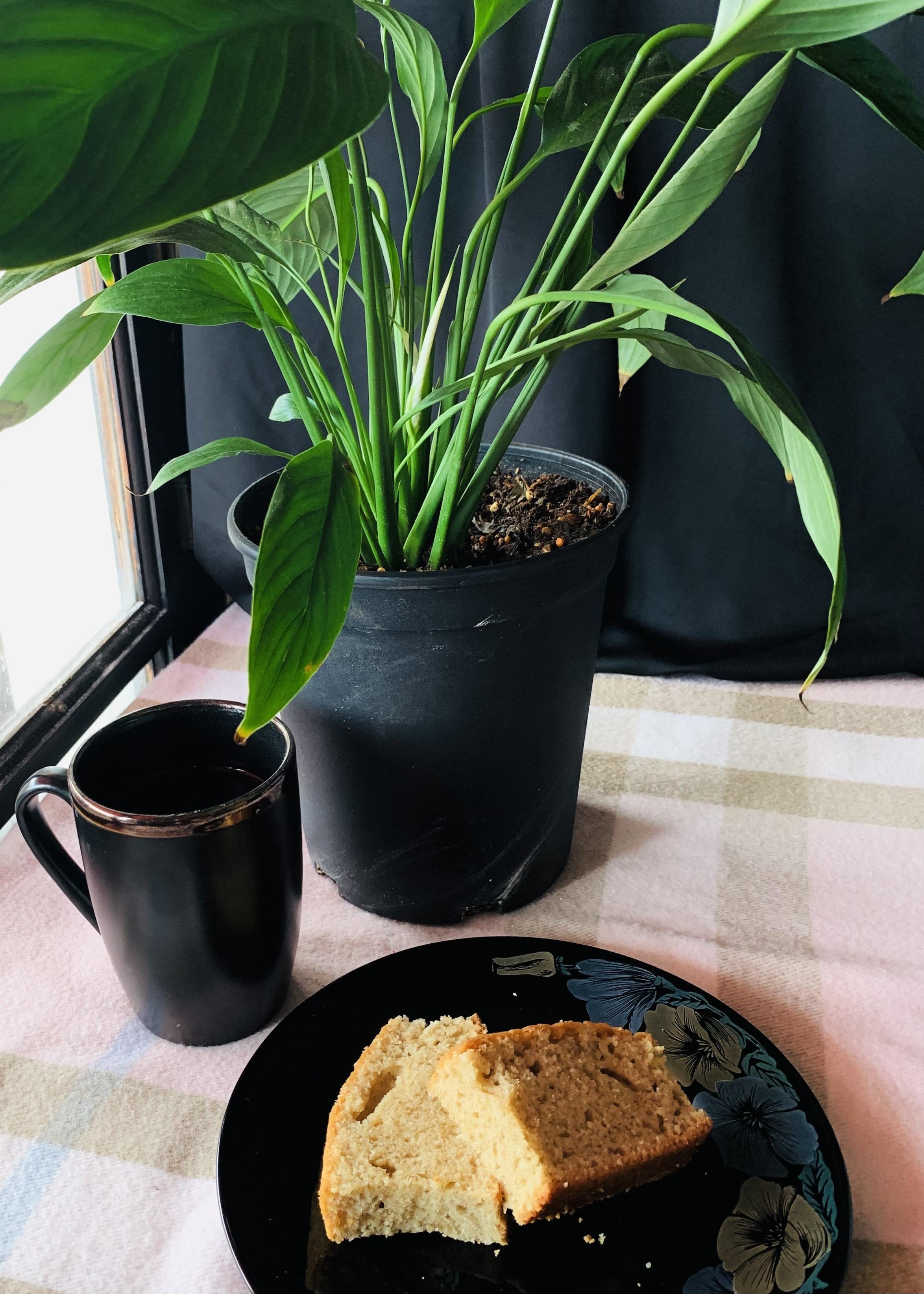 Afternoon Tea - image 1 - student project