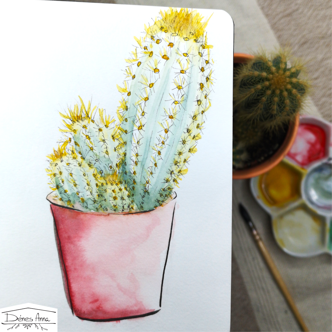 House plants and flowers - image 8 - student project
