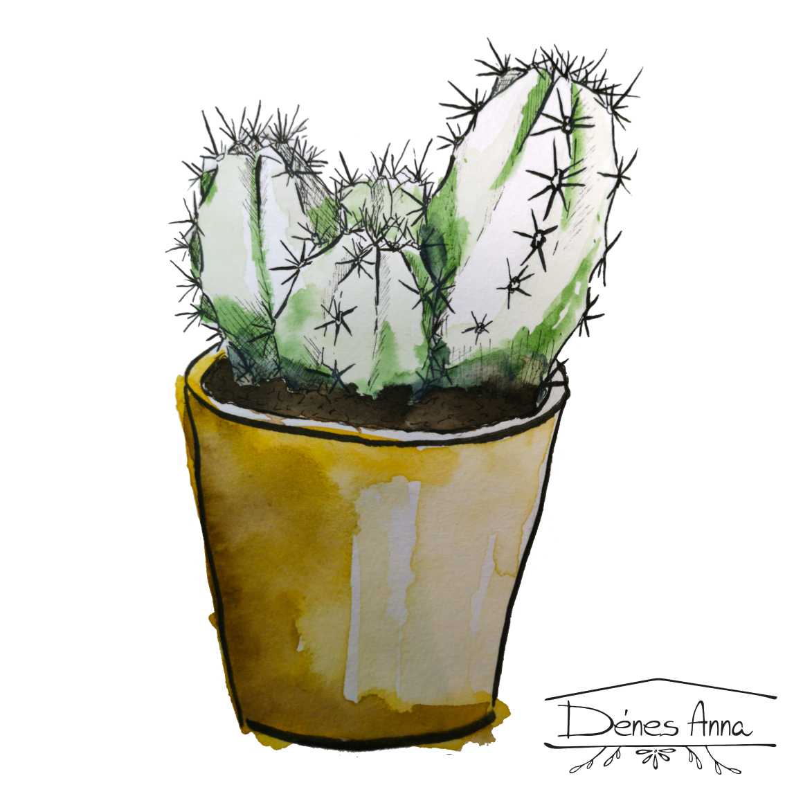 House plants and flowers - image 5 - student project