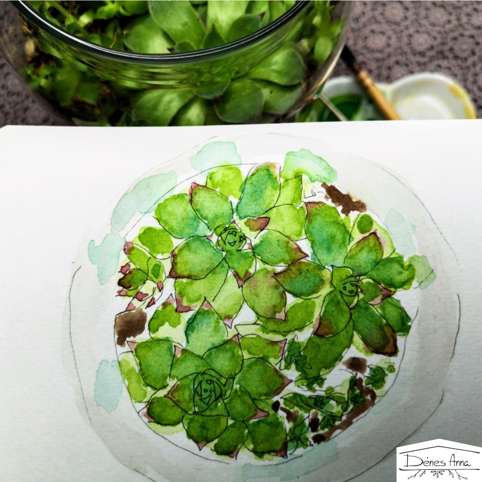 House plants and flowers - image 13 - student project