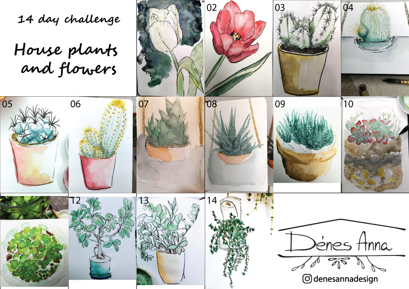 House plants and flowers - image 1 - student project