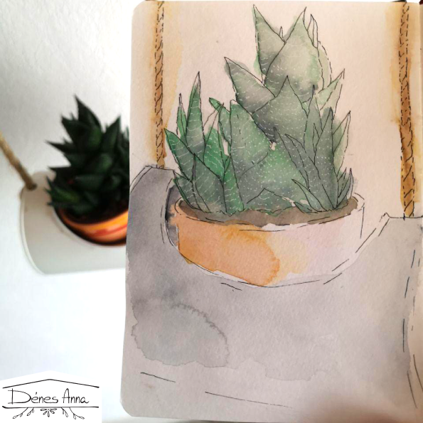 House plants and flowers - image 9 - student project