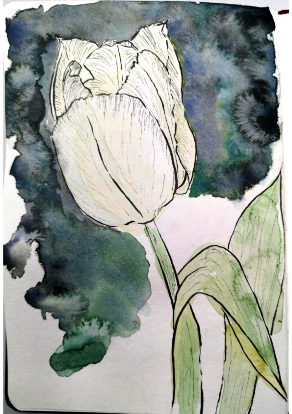 House plants and flowers - image 3 - student project