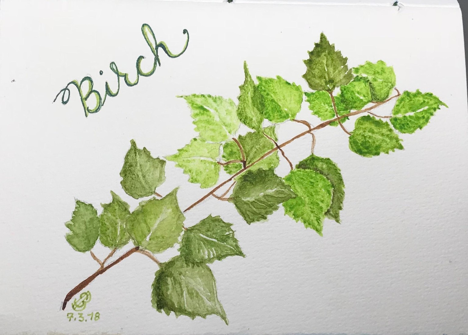 Greenery - image 1 - student project