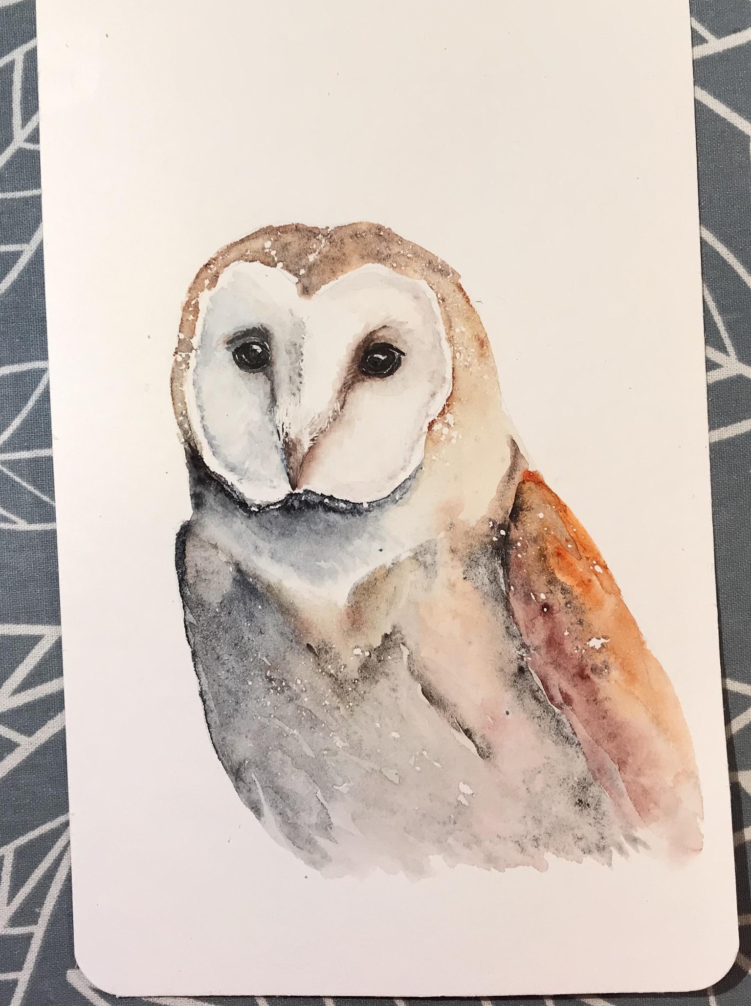 Barn Owl - image 1 - student project