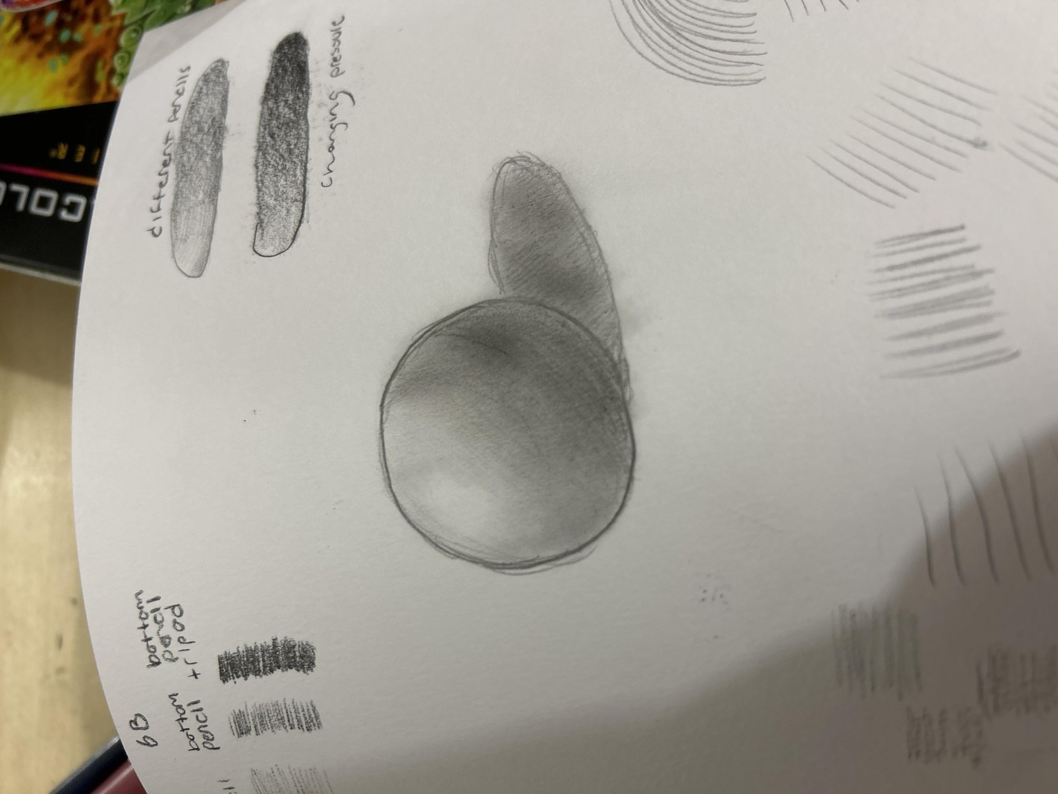 Circle and Puppy - image 2 - student project