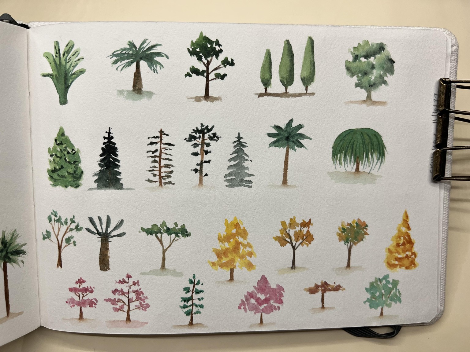 Tree practice - image 4 - student project