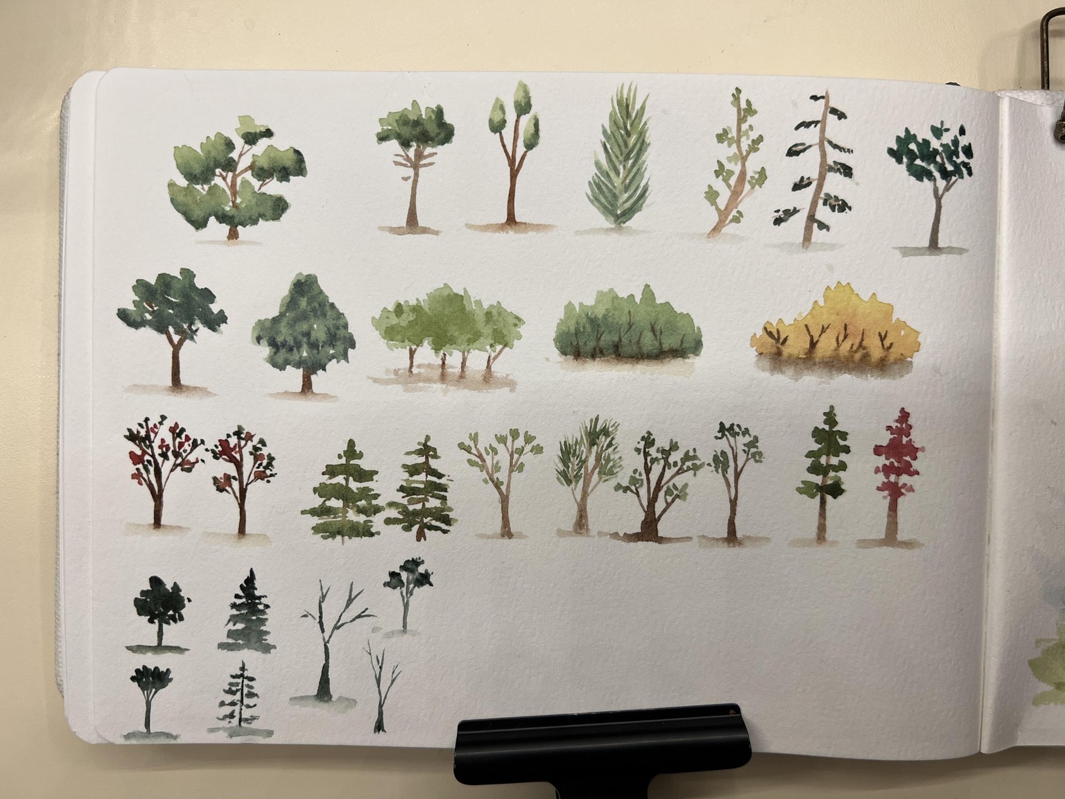 Tree practice - image 5 - student project